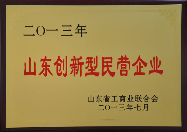 山東創新型民營企業